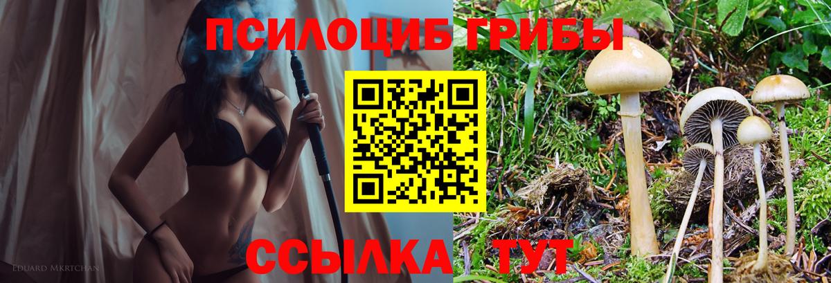 Псилоцибиновые грибы MAGIC MUSHROOMS Корсаков